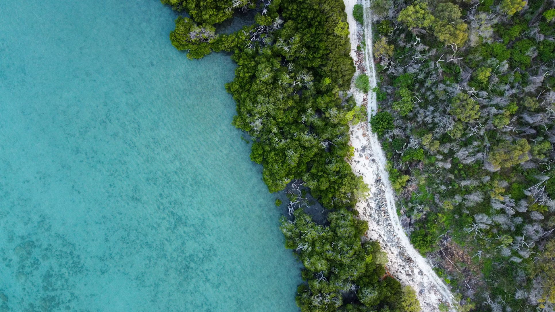 Aerial view of mangrove forest and river with boats
